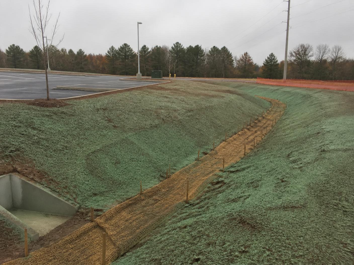 Commercial detention basin revegetated with native seed
